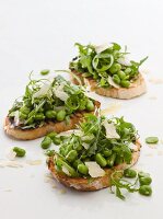 Bruschetta mit Saubohnen, Rucola und Parmesan