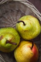 Three autumn pears in a basket