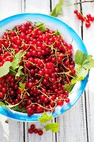 Rote Johannisbeeren mit Blättern in einer Schüssel