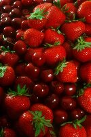 Erdbeeren und Kirschen (bildfüllend)