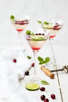 Sekt mit Cranberries und Limetten