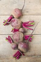 Garden Beetroot on rustic wooden table