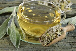 Griechischer Bergtee aus Gliedkraut (Sideritis Syriaca)