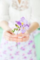 Woman holding delicate stem of purple freesias