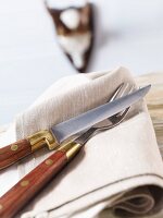 Butter Knife and Fork on a Folded Napkin