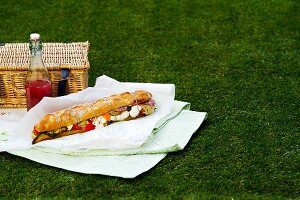 A baguette sandwich, a bottle of champagne and a picnic basket