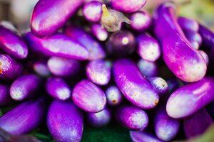 Japanese aubergines