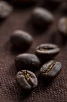 Coffee beans on dark brown fabric