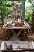 Vintage utensils in rustic wooden trough in front of various potted plants on wooden table in greenhouse