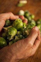 A handful of Brussels sprouts