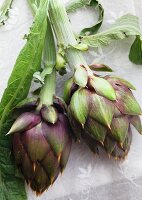 Artichokes