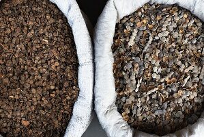 Sacks of dried beans and legumes at an Indian market