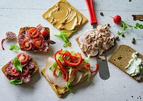 ADHD food: pizza rolls, turkey sandwich and a tuna fish open sandwich
