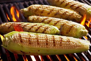 Sweetcorn cobs on the barbecue