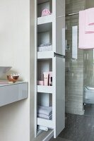 An apothecary cupboard filled with bathroom utensils in front of a shower with a glass partition wall in a modern bathroom