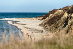 A high sandbank near Ahrenshoop on the Baltic Sea