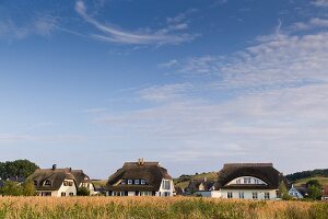 Reetdachhäuser in Groß Zicker auf der Halbinsel Mönchgut, Rügen