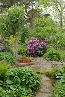 Garden path in a flowering garden