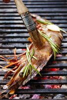 A rosemary flavoured king prawn being brushed on a grill