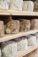 Cheese ripening on shelves, Alsace