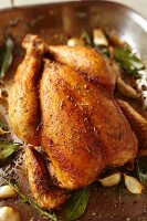 Roast chicken with garlic and herbs