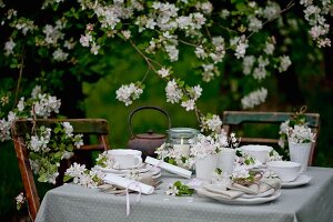 Gedeckter Tisch unter dem Apfelbaum