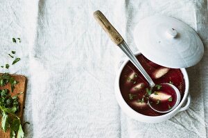 Red cabbage bouillon with dumplings