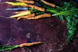 Various types of carrots