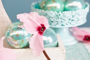 Christmas arrangement with cyclamen flowers