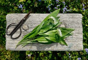 Fresh wild garlic and flowers on a wooden table in a garden