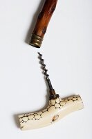 Korkenzieher als Spazierstock aus Rosenholz mit Griff aus Bein und Intarsie eines Insekts, Beginn 20. Jahrhundert (Sammlung Von Kunow)