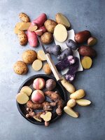 Still life with various varieties of potatoes