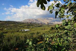 A view of the Golan Heights and Mount Hermon, Israel