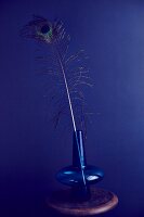 A peacock feather in a blue glass vase