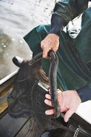 Freshwater fishermen Wolfgang Richter catching eels at Lake Neuendorf (Spreewald, Germany)