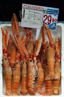 Langoustines at the fish market in Bilbao, Basque County, Spain