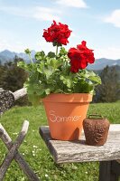 Red geranium in labelled terracotta pot on wooden board outside with Alpine landscape in background