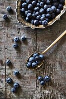Blueberries on a silver plate and spoon