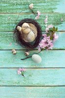 Easter nest with Easter eggs, quail's eggs and sprig of cherry blossom on wooden surface