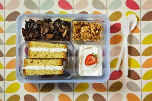 Sandwich, Trockenfrüchte, Knuspermüsli & Joghurt in Plastikboxen