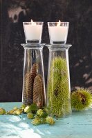Pine cones and chestnuts in display glasses