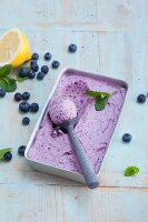 Quick blueberry ice cream