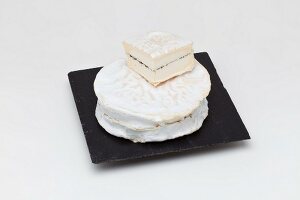 Brillat Savarin truffe (Bourgogne, Frankreich)