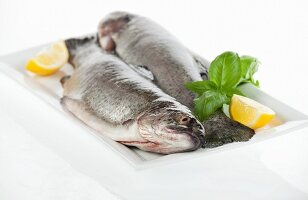 Two fresh trout with lemon wedges and basil