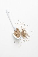 Anise seeds on a spoon