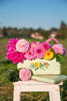 Dahlias of various colours in painted metal container on footstool outdoors