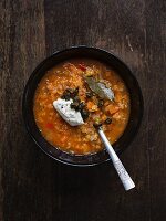 Vegetarian red lentil soup