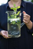 Refreshing drink with blueberries and herbs in glass jug