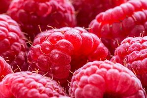 Raspberries (close-up)