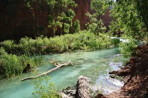 Der türkisfarbene Havasu Creek Fluss (Grand Canyon, Arizona, USA)